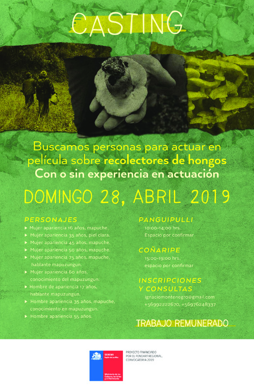 Afiche Casting Folil