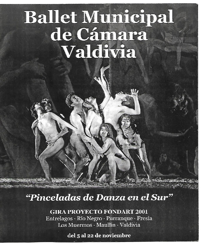 Folleto de la obra de danza "Pinceladas de Danza en el Sur"