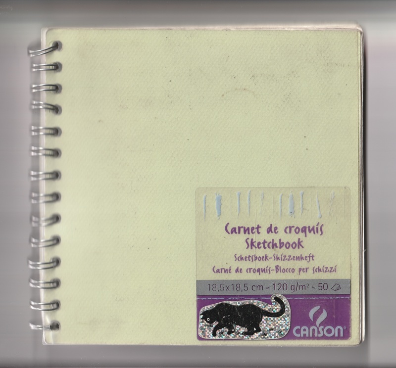 Cuaderno de trabajo obra La viuda de Apablaza