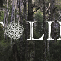pag 01.jpg