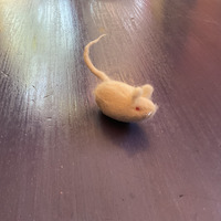 (8b) Ratoncito_toitoi.jpg
