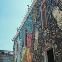 DSCF3291.jpg