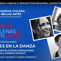 Captura video Academia Bellas Artes_XSchaaf.png