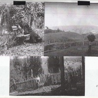 https://arde-antiguo.s3-sa-east-1.amazonaws.com/21.1.jpg