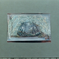 sylphide2.jpg