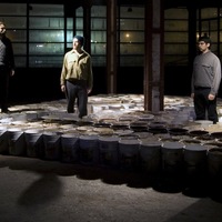 23. terrario-13.jpg