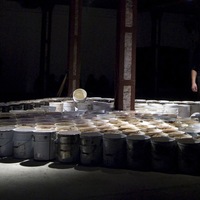 23. terrario-1.jpg