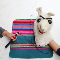 alpaca última obra.JPG