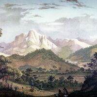 https://arde-antiguo.s3-sa-east-1.amazonaws.com/painting-for-nimby.jpg