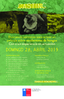 Afiche Casting Folil
