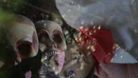 Fotogramas de la cápsula 4: "La meica"